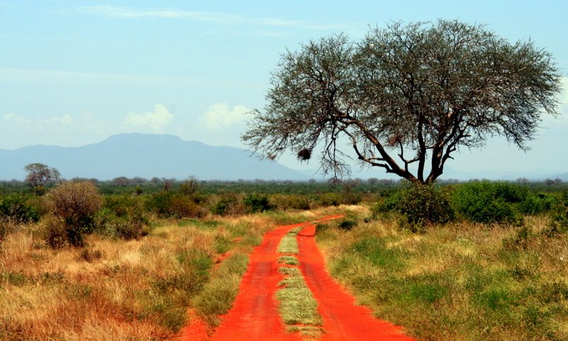 kenya_2007_0544